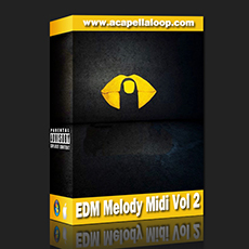 旋律Midi文件/EDM Melody Midi Vol 2